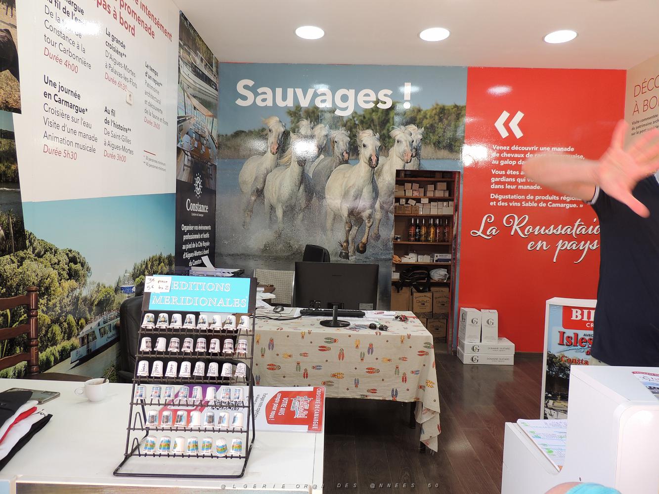 2022 07 UN AIR DE VACANCES 22 AIGUES MORTES (35).JPG -           